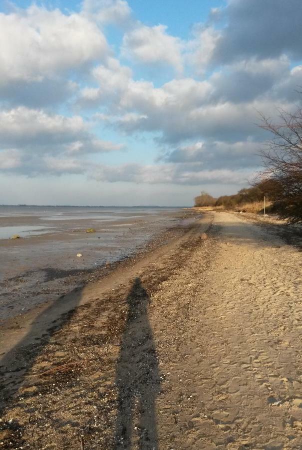 Pension Am Burgwall Wißmar エクステリア 写真