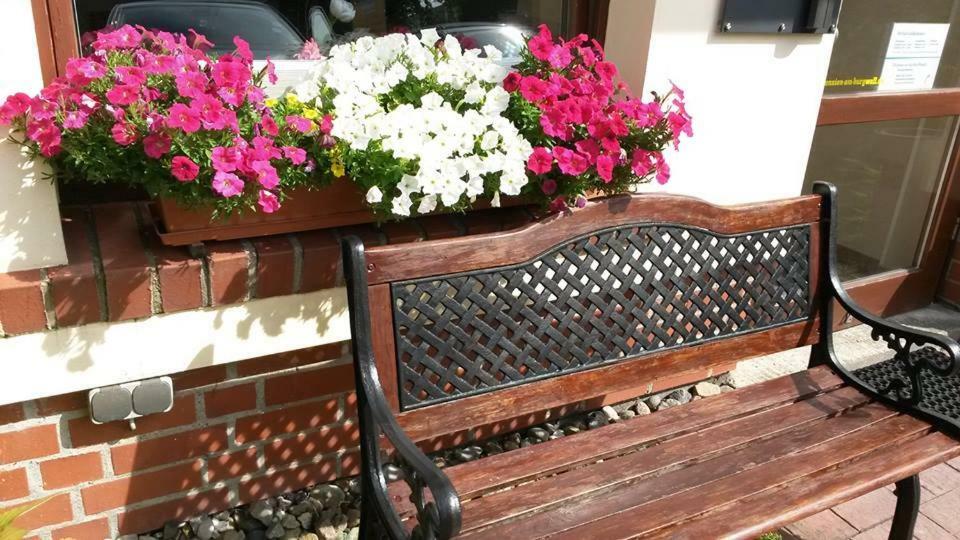Pension Am Burgwall Wißmar エクステリア 写真